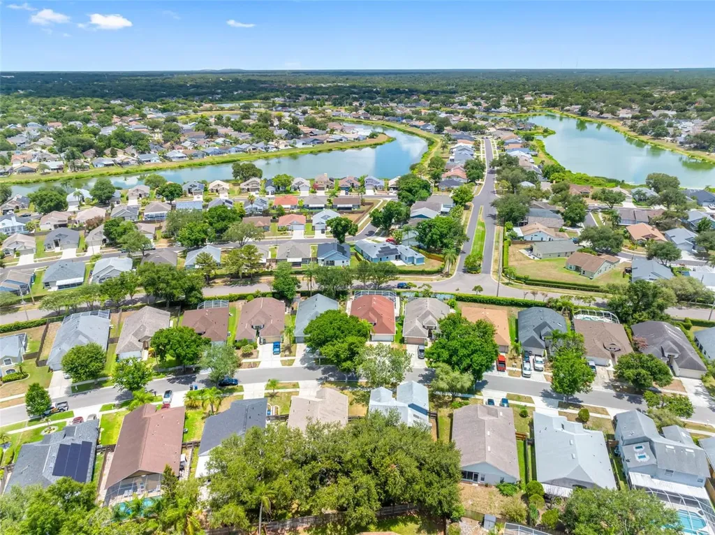 1534 Scotch Pine Drive Brandon FL 33511