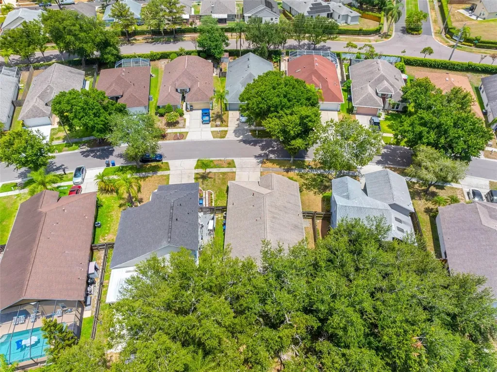1534 Scotch Pine Drive Brandon FL 33511