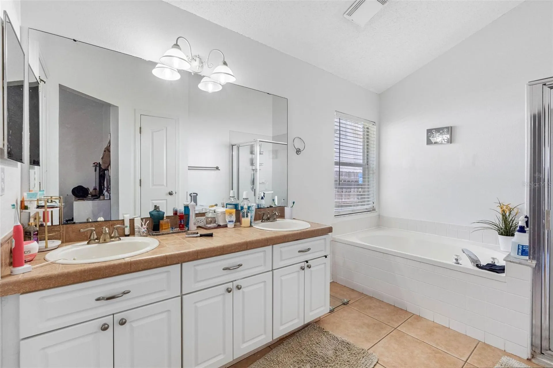 1534 Scotch Pine Drive Brandon FL 33511
