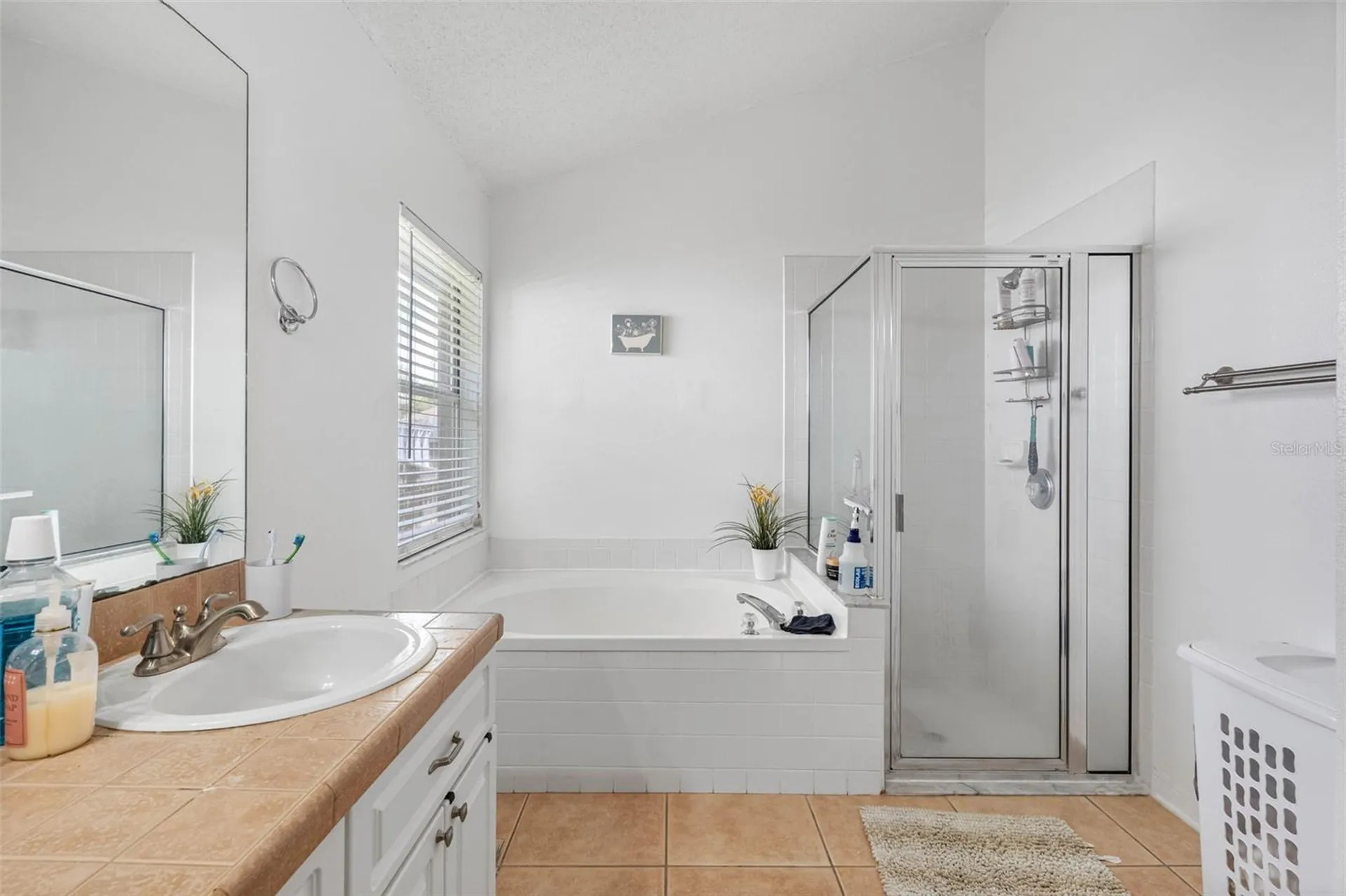1534 Scotch Pine Drive Brandon FL 33511