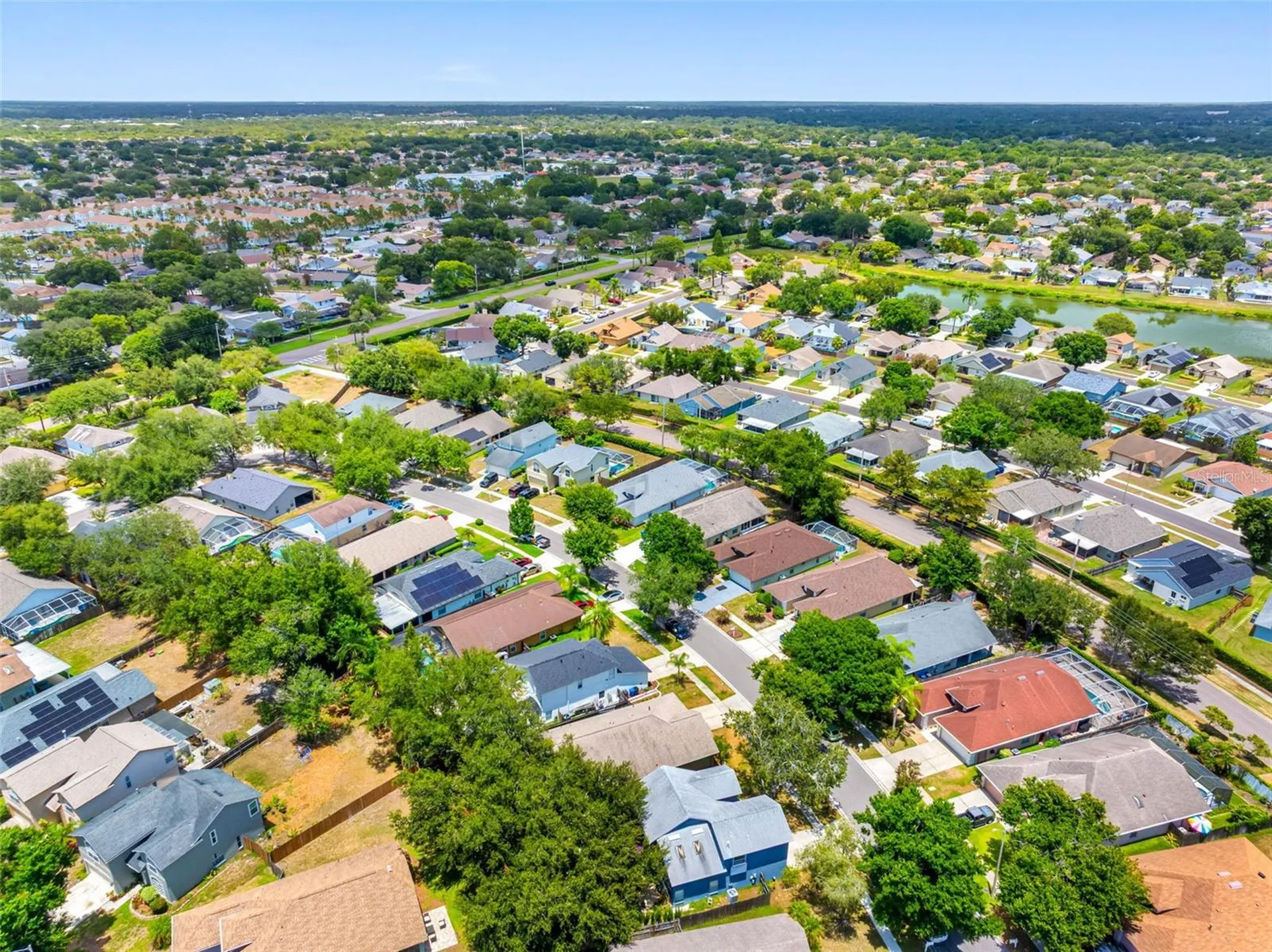1534 Scotch Pine Drive Brandon FL 33511