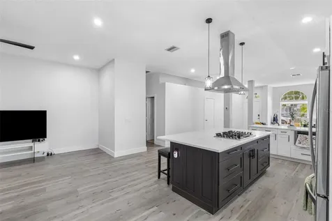 1534 Scotch Pine Drive Brandon FL 33511