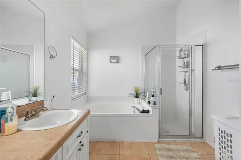 1534 Scotch Pine Drive Brandon FL 33511