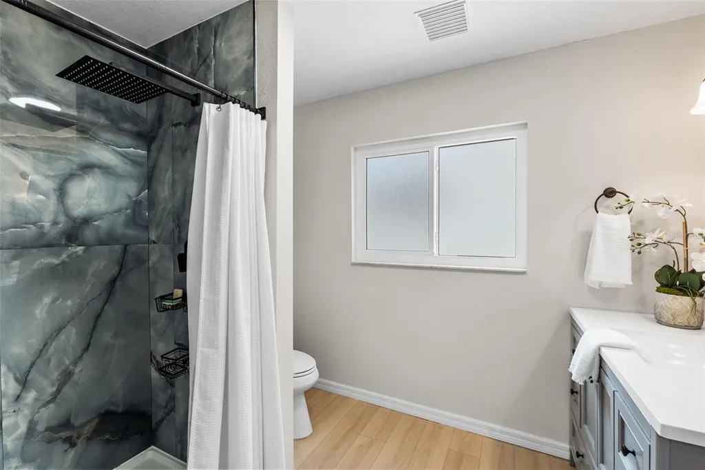 15908 King James Court Odessa FL 33556