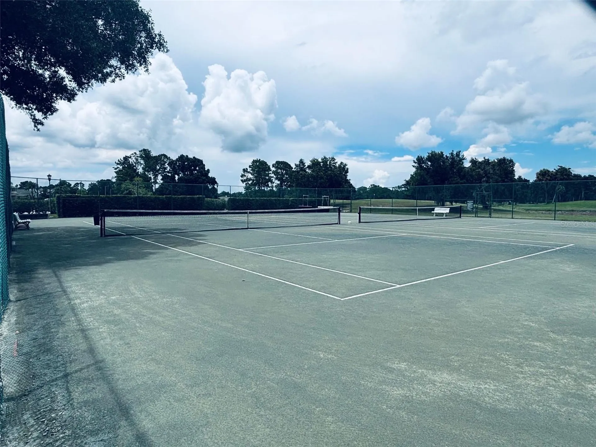 15908 King James Court Odessa FL 33556