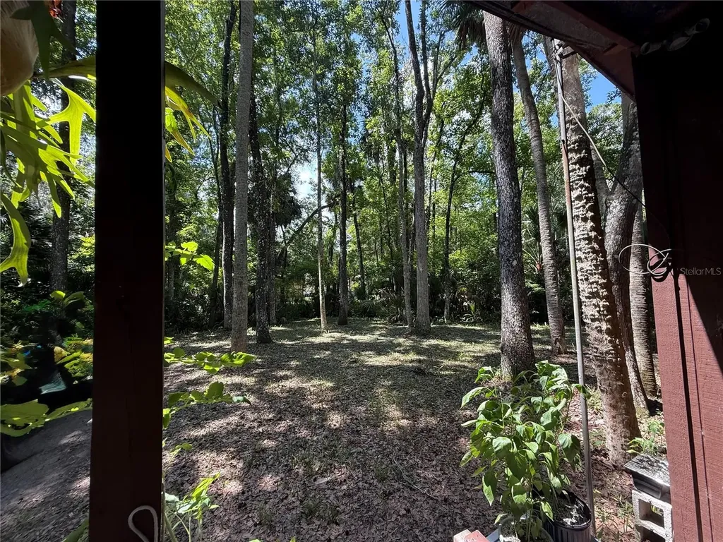 23946 Indigo Road Astor FL 32102