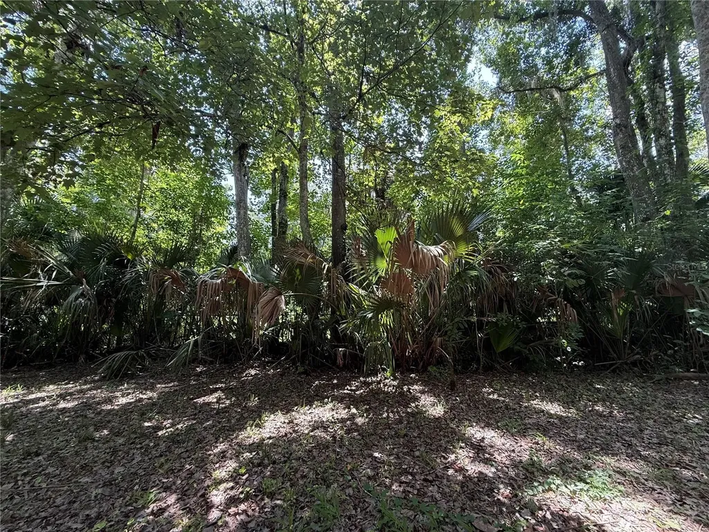 23946 Indigo Road Astor FL 32102