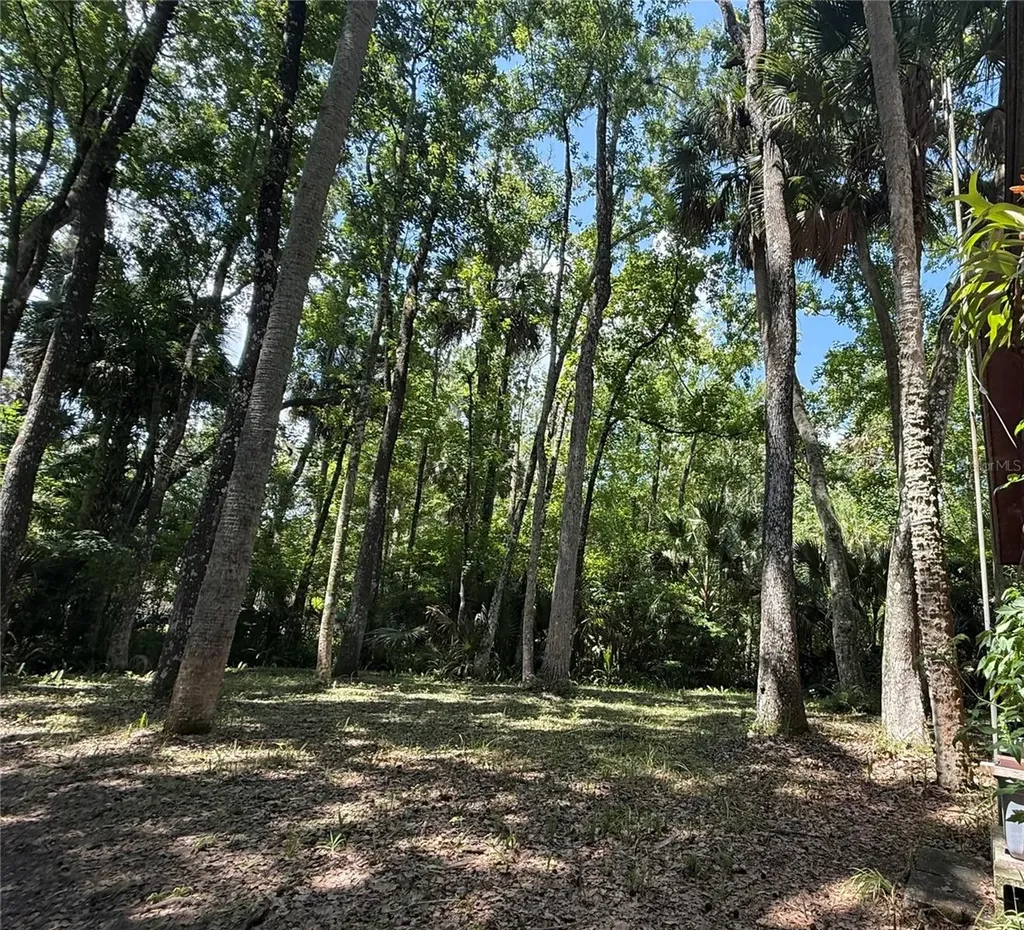 23946 Indigo Road Astor FL 32102
