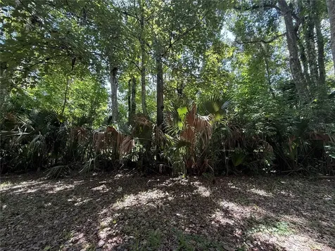 23946 Indigo Road Astor FL 32102