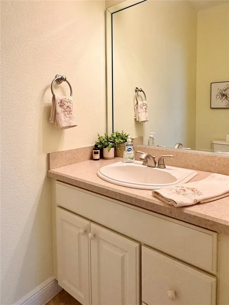 646 Murphys Estate Drive The Villages FL 32162