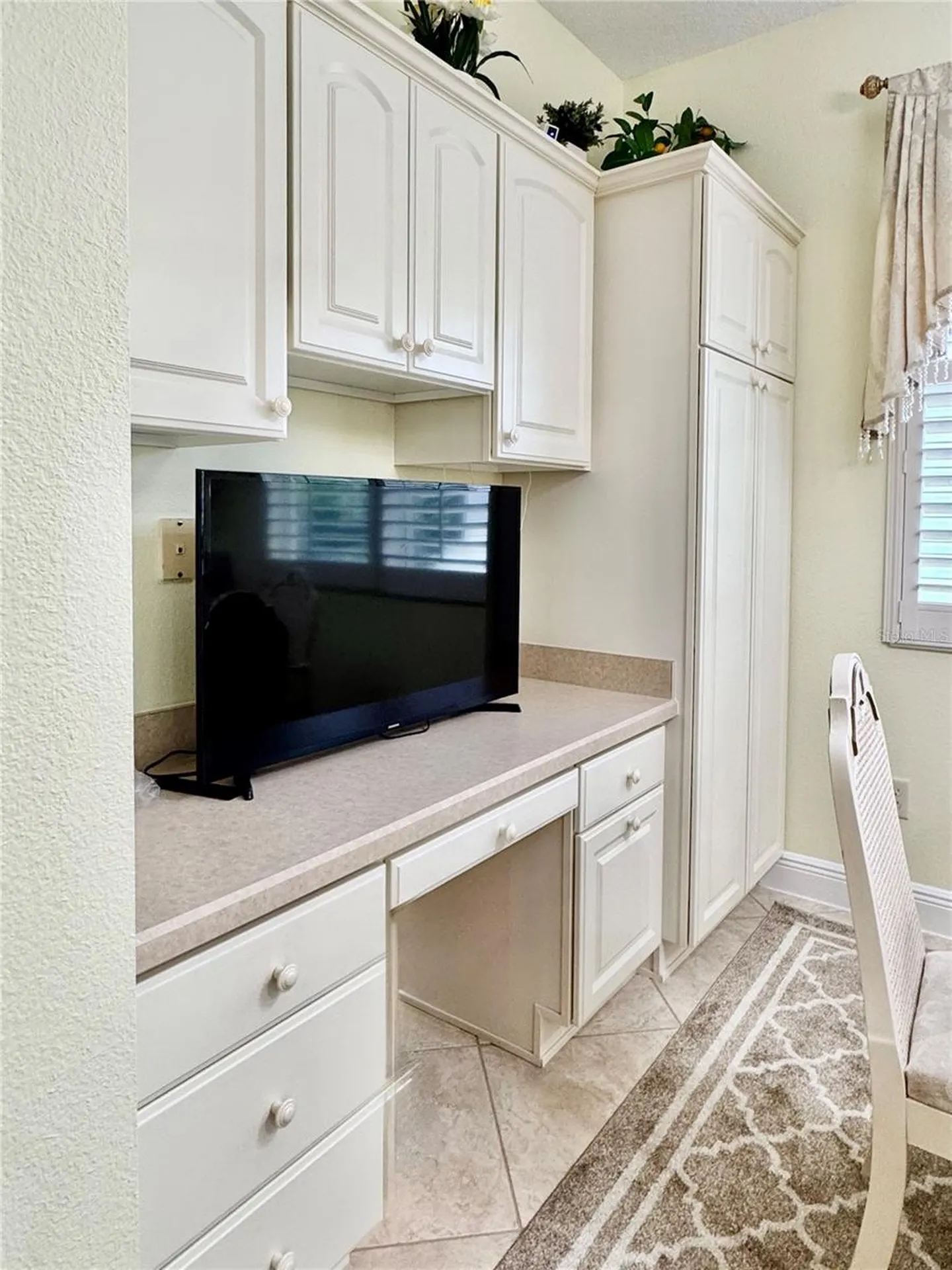 646 Murphys Estate Drive The Villages FL 32162