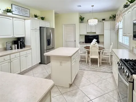 646 Murphys Estate Drive The Villages FL 32162