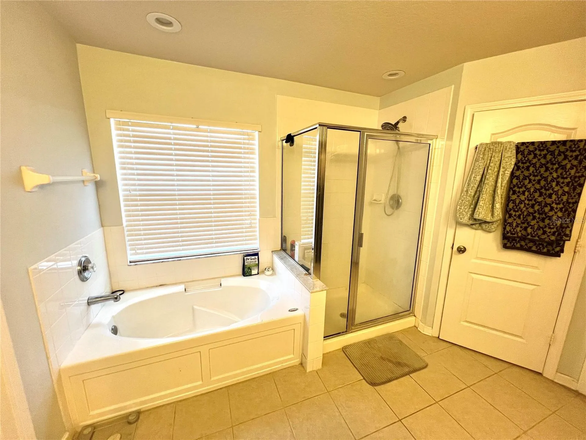 4639 Pond Ridge Drive Riverview FL 33578