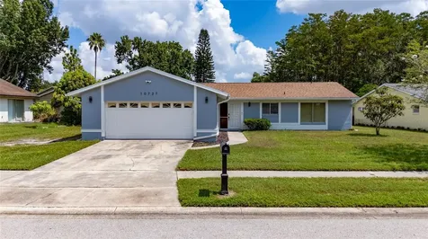 10737 Larissa Street Orlando FL 32821