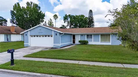10737 Larissa Street Orlando FL 32821