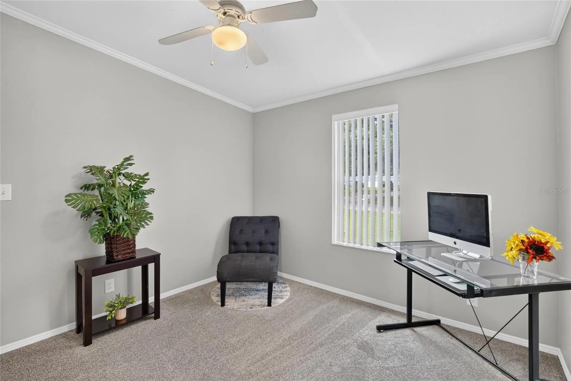 38310 Pear Court Zephyrhills FL 33542