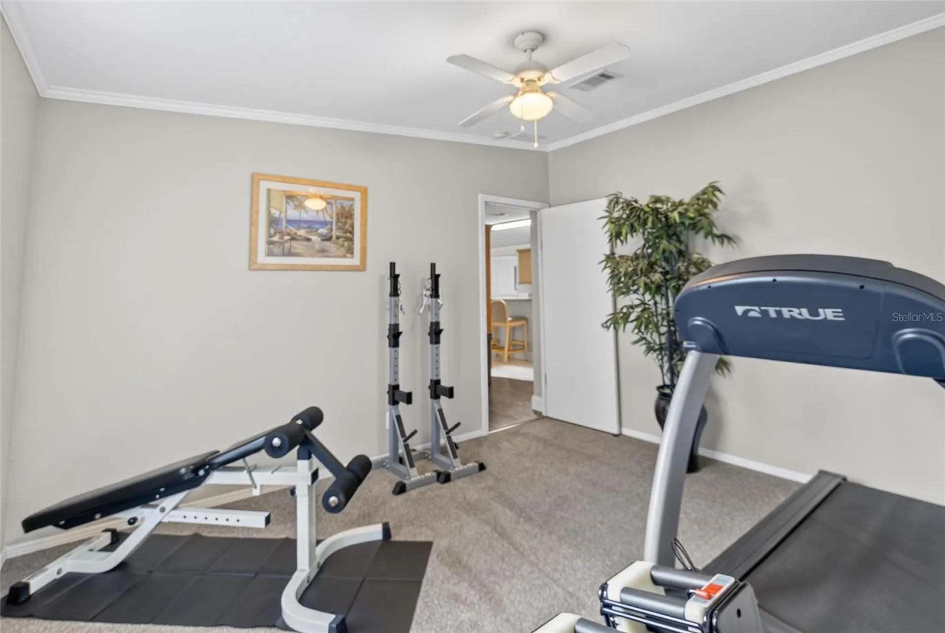 38310 Pear Court Zephyrhills FL 33542