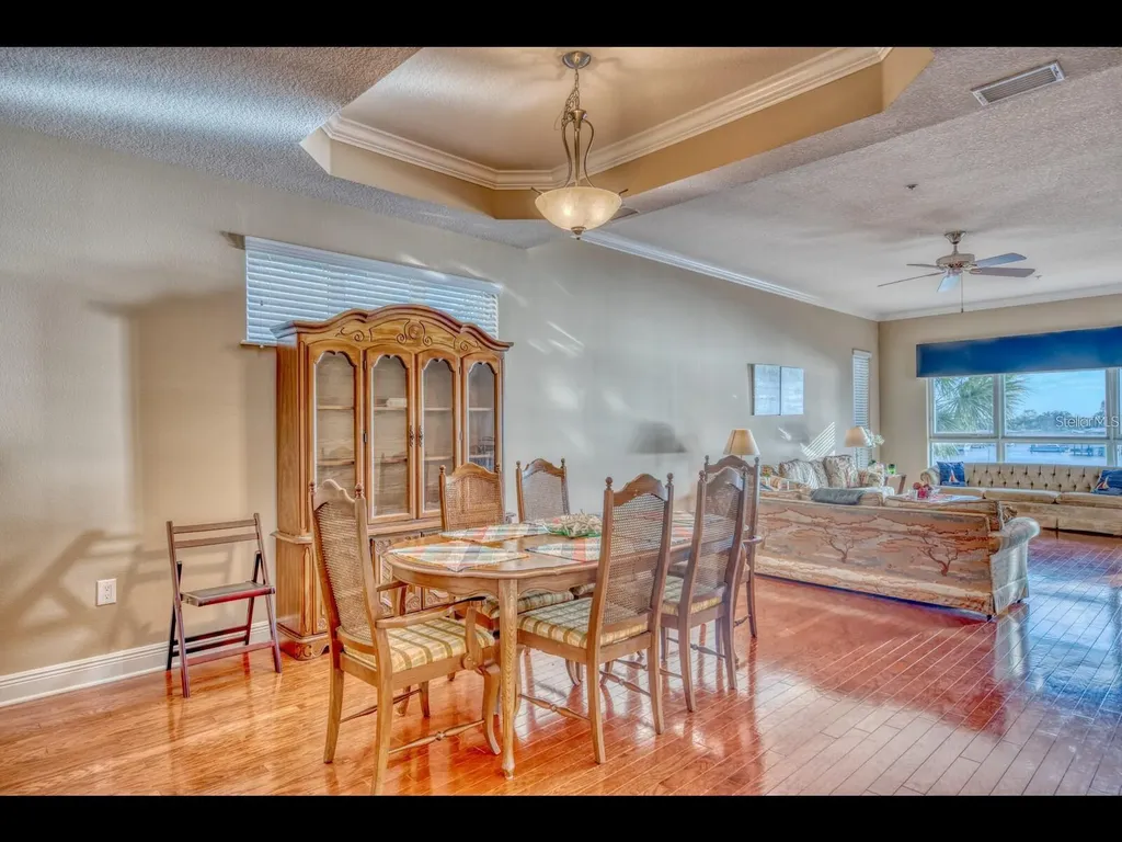 1042 Bellasol Way Apollo Beach FL 33572