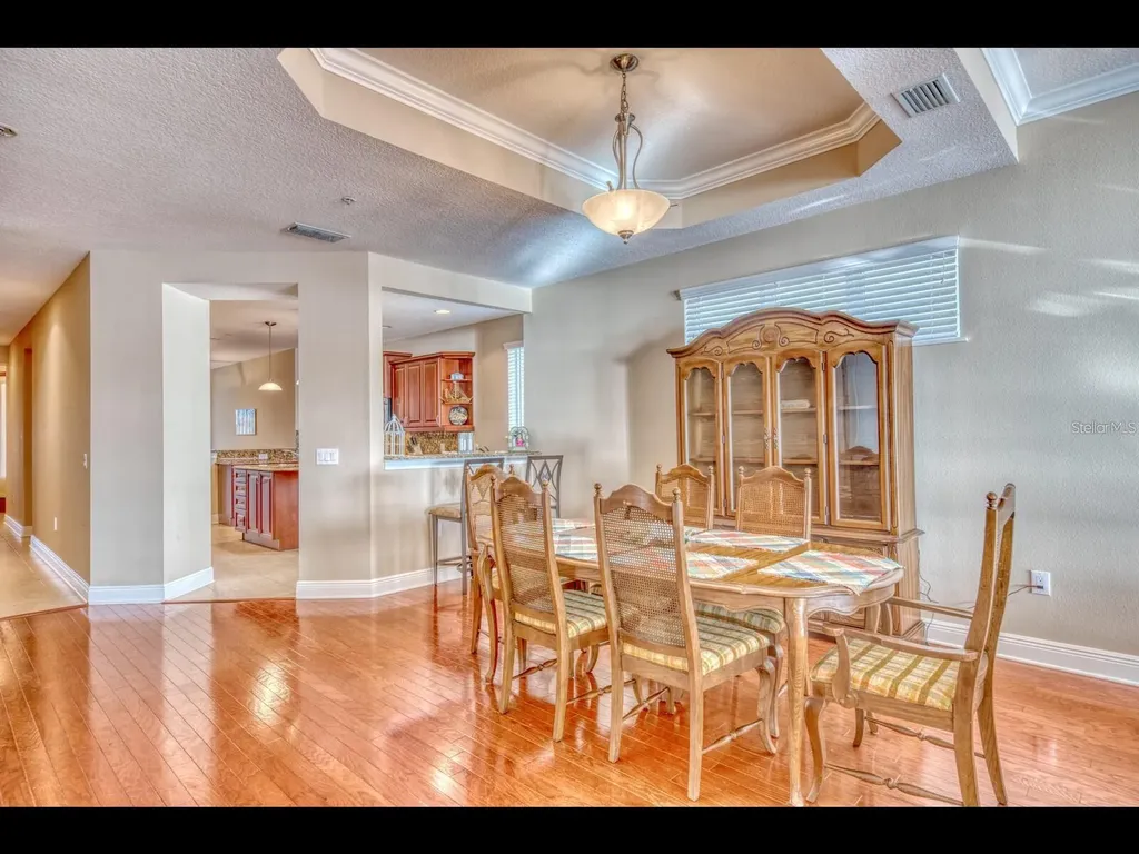 1042 Bellasol Way Apollo Beach FL 33572