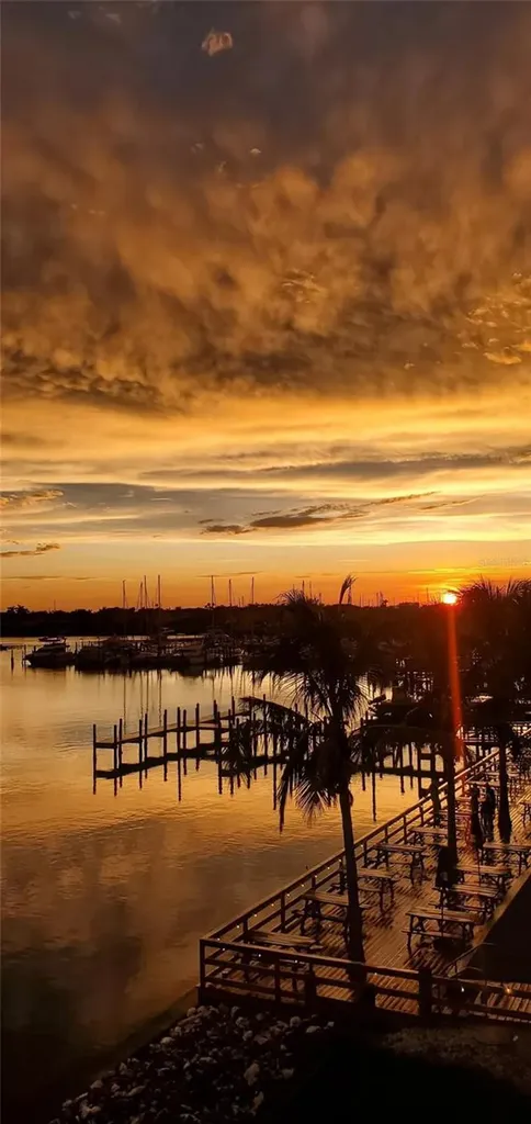 1042 Bellasol Way Apollo Beach FL 33572