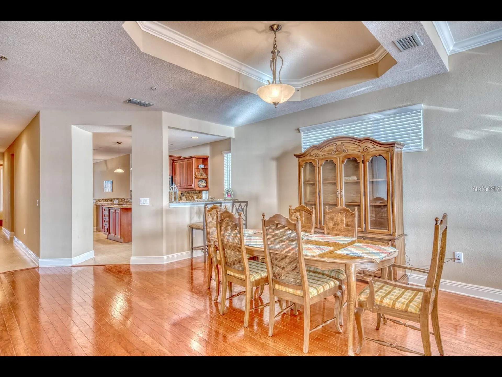 1042 Bellasol Way Apollo Beach FL 33572