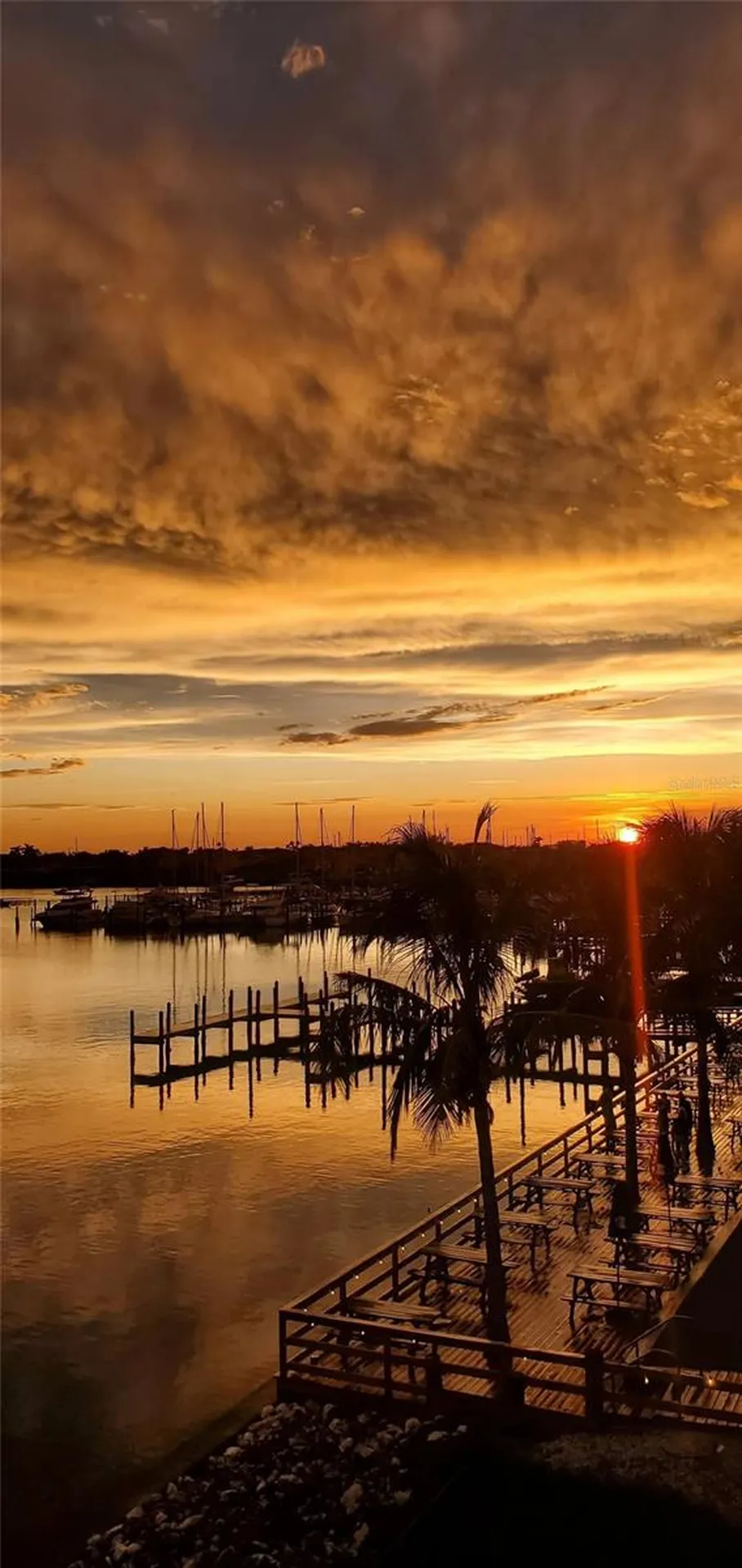 1042 Bellasol Way Apollo Beach FL 33572