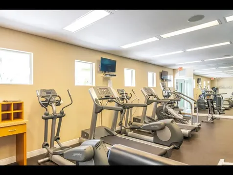 1042 Bellasol Way Apollo Beach FL 33572