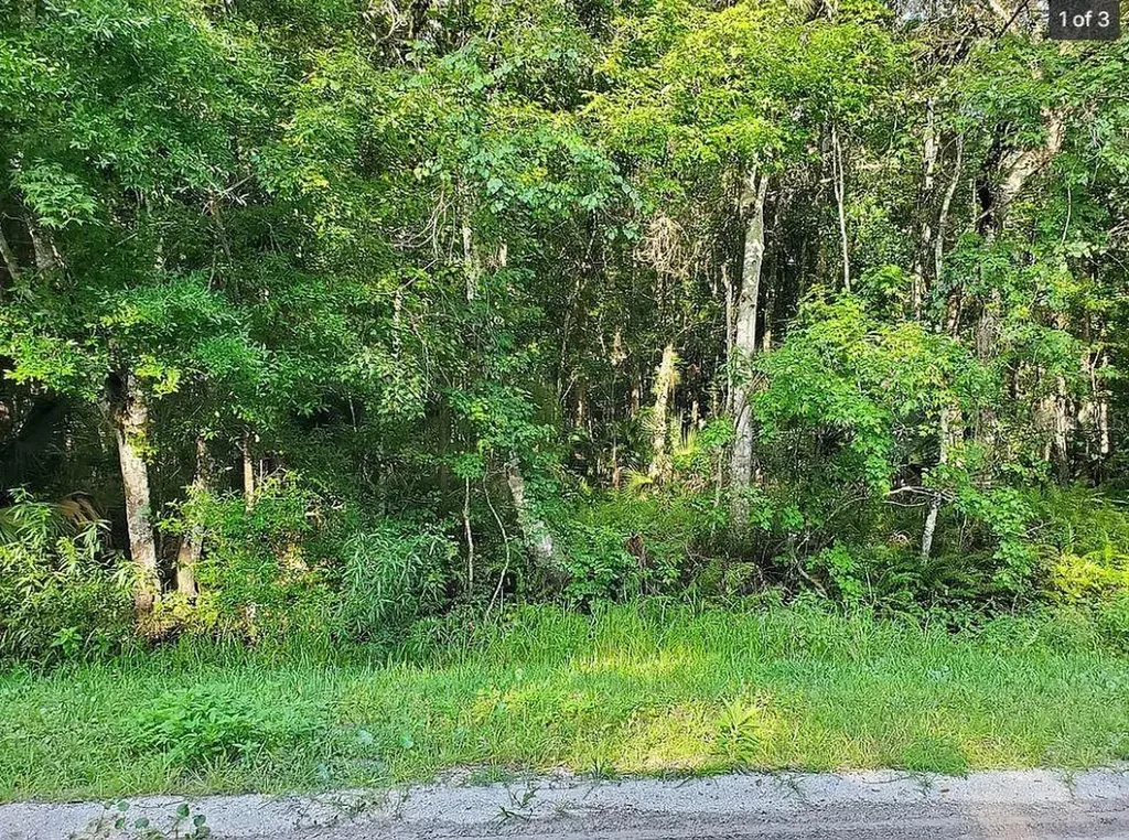 1763 Sherwood Street Bunnell FL 32110