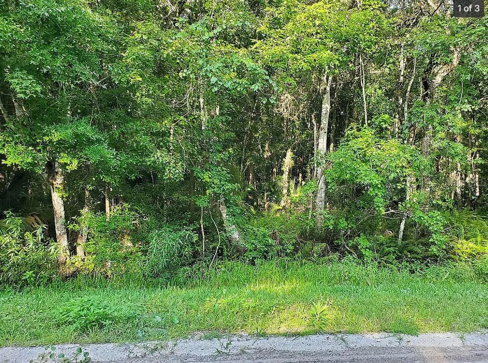 1763 Sherwood Street Bunnell FL 32110