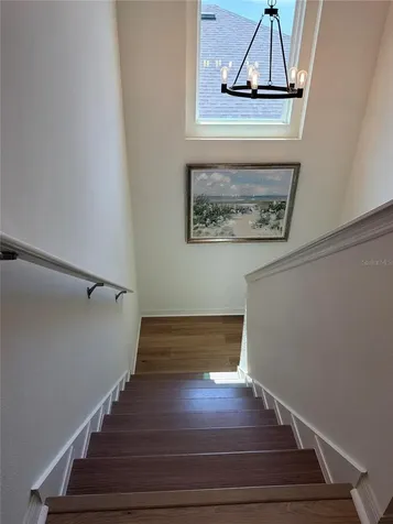 29250 Kinsington Court Wesley Chapel FL 33544