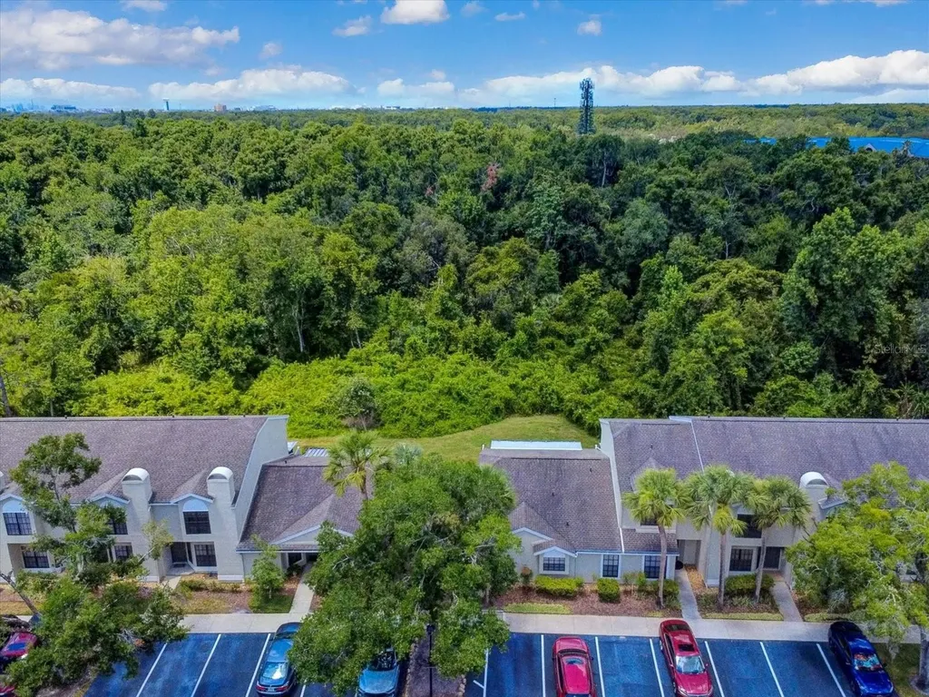 5100 Burchette Road Tampa FL 33647