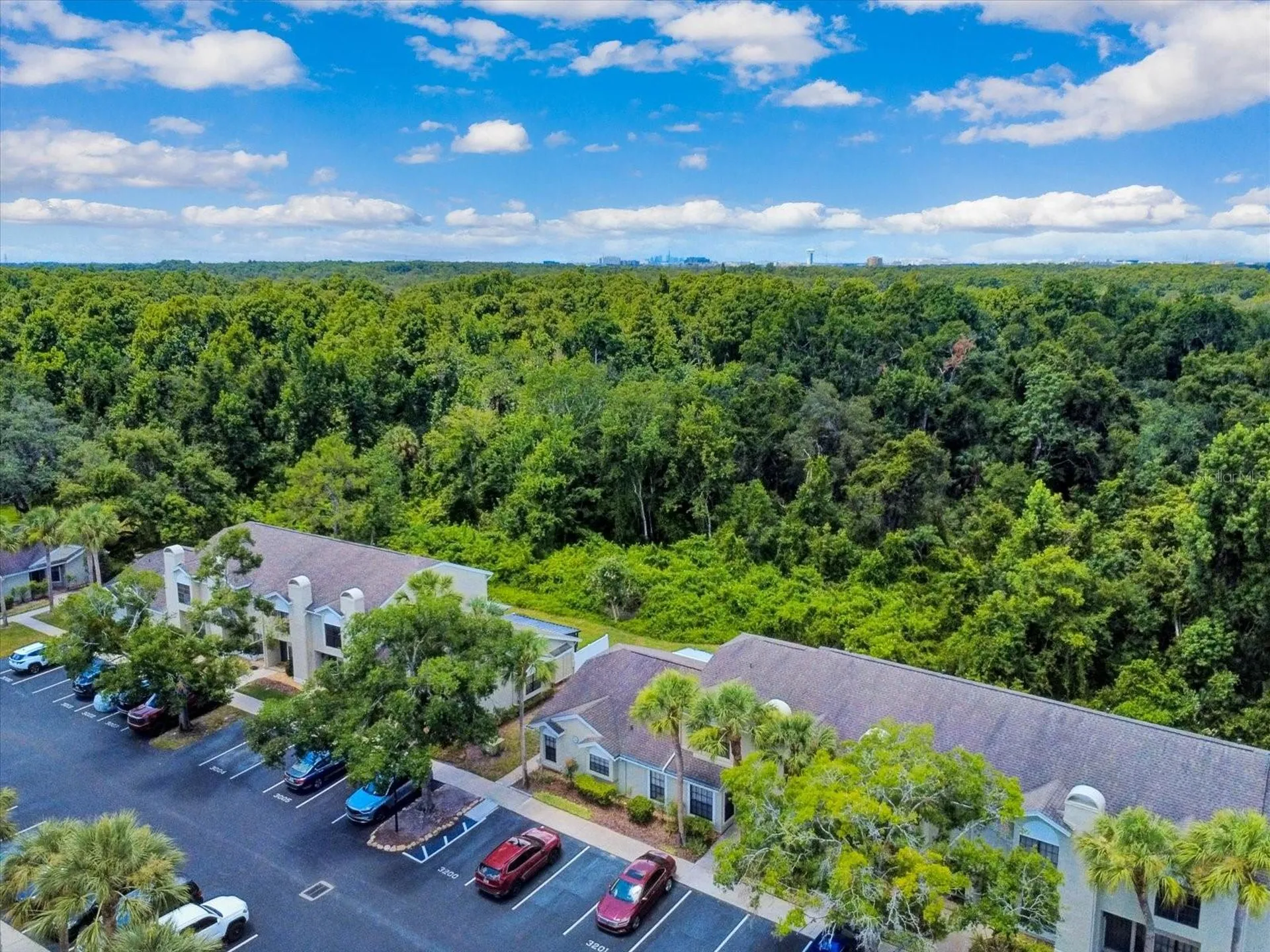 5100 Burchette Road Tampa FL 33647