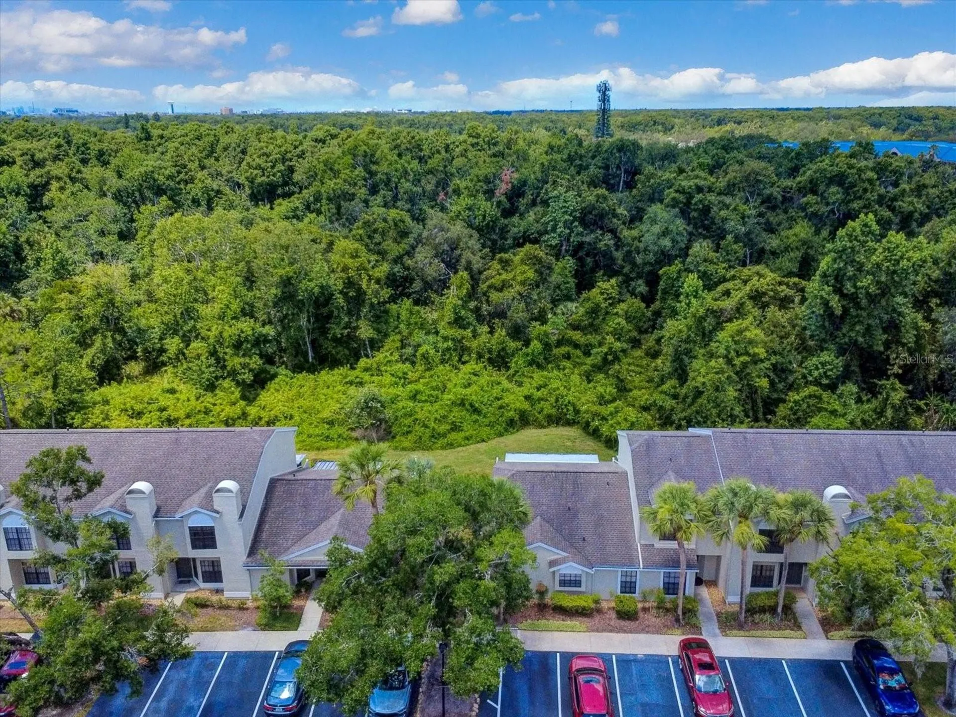 5100 Burchette Road Tampa FL 33647