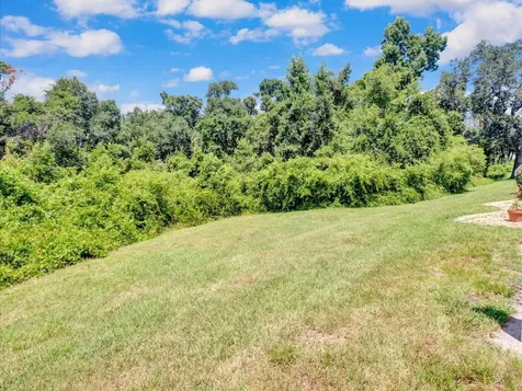 5100 Burchette Road Tampa FL 33647