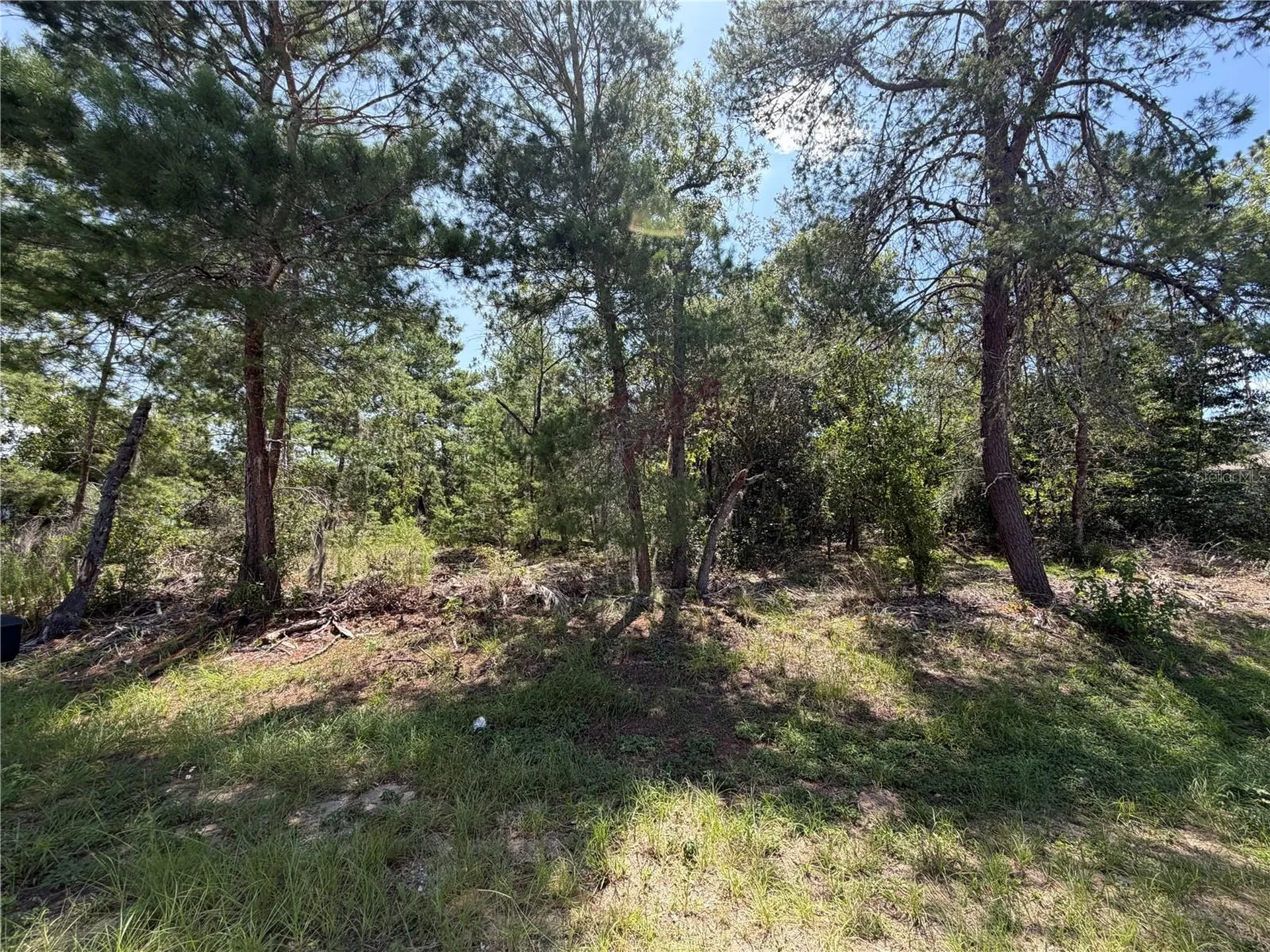 Redwood Run Loop Ocala FL 34472