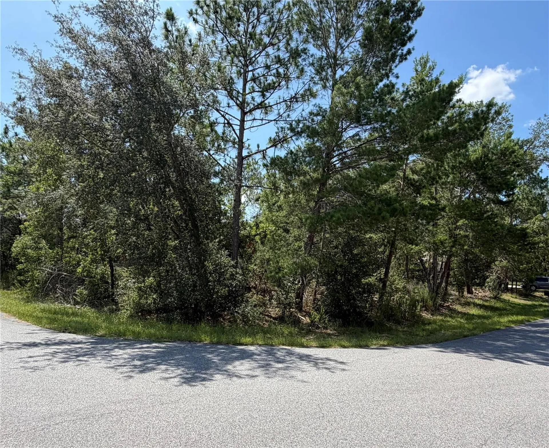 Redwood Run Loop Ocala FL 34472