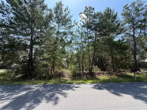 Redwood Run Loop Ocala FL 34472