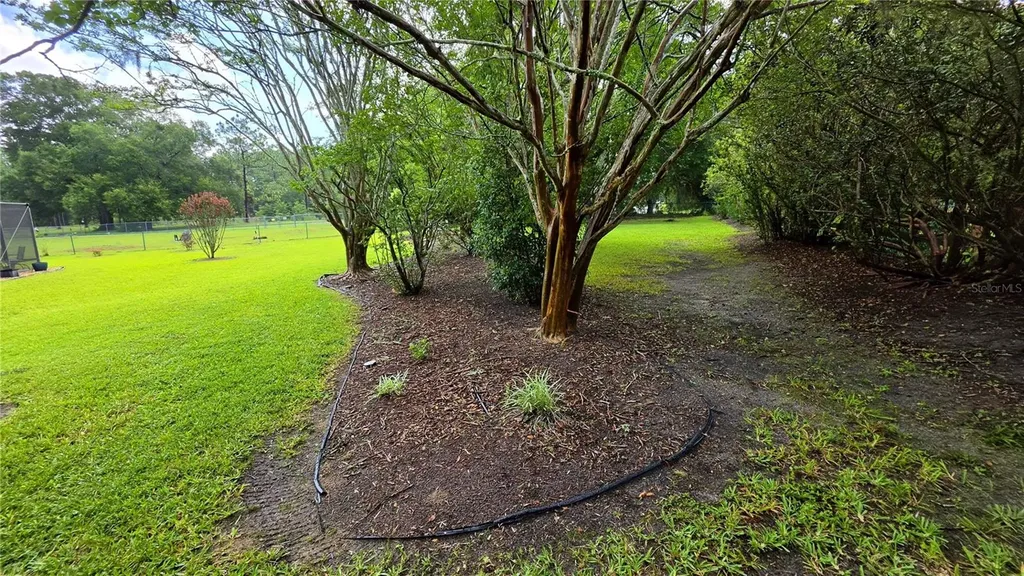 6008 SW 103rd Loop Ocala FL 34476