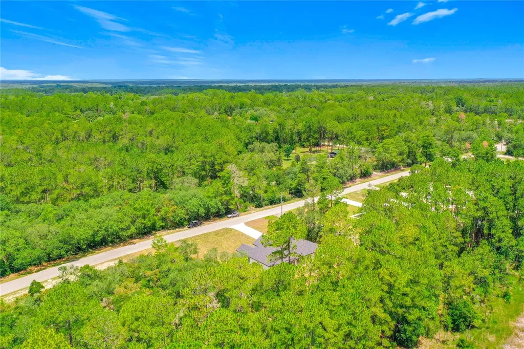 41334 Persimmon Street Eustis FL 32736
