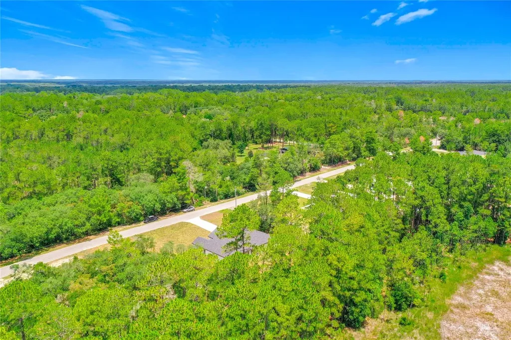41334 Persimmon Street Eustis FL 32736