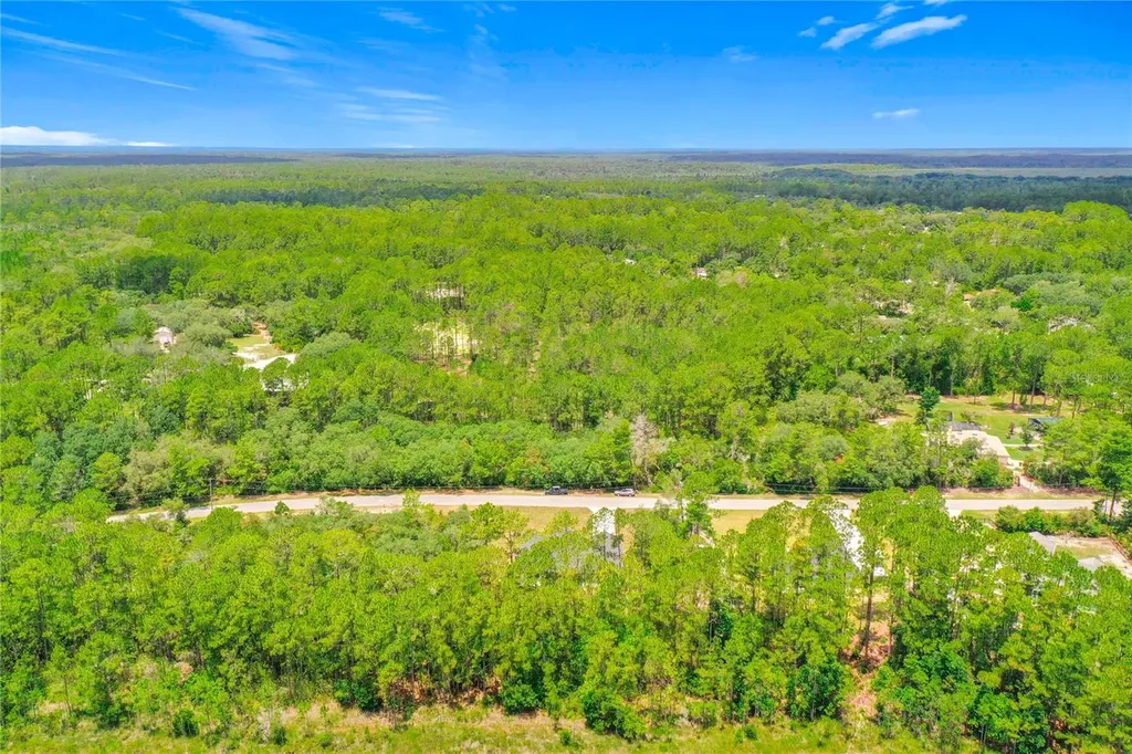 41334 Persimmon Street Eustis FL 32736