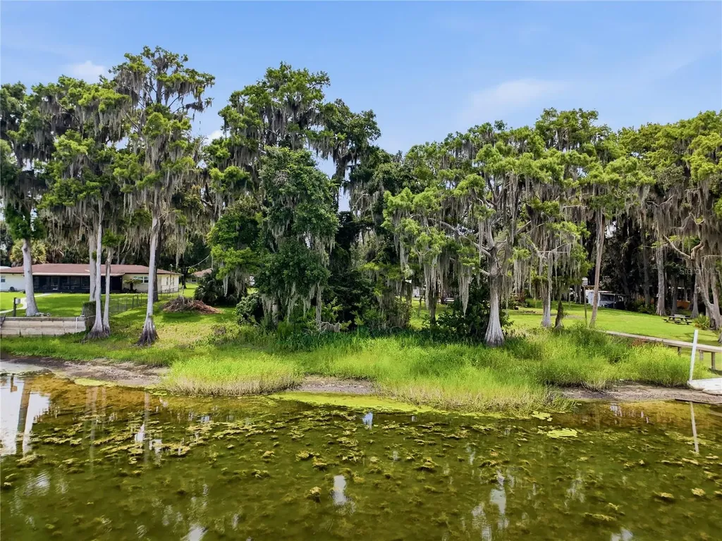 6941 S Aloysia Avenue Floral City FL 34436