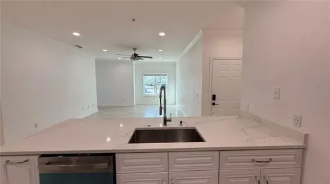 16303 Enclave Village Drive Tampa FL 33647