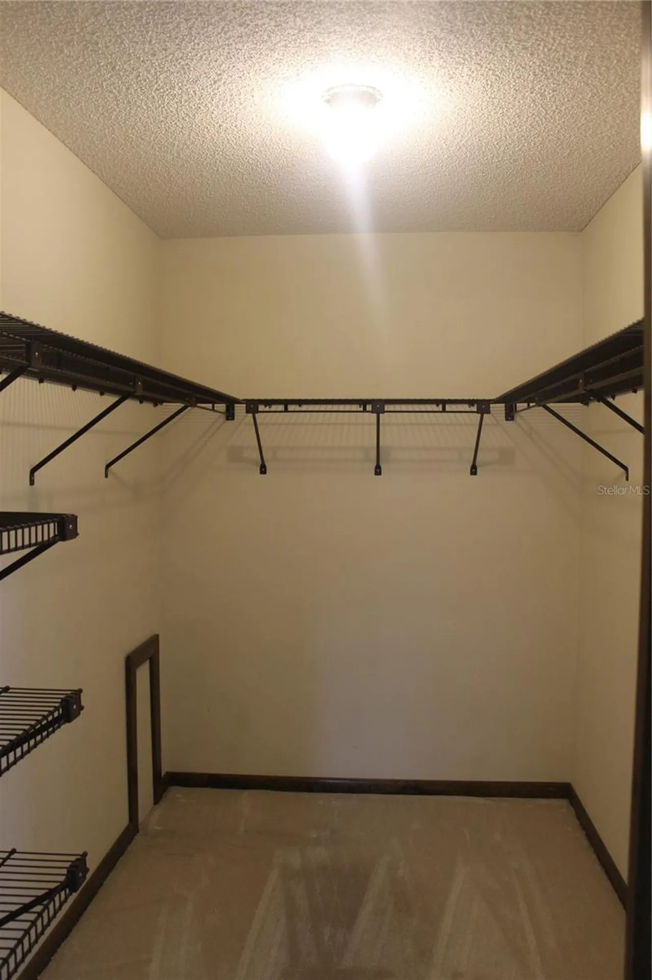 8513 Winter Haven Drive Hudson FL 34667