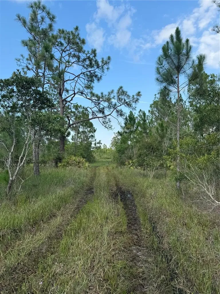 Holopaw Groves Road St Cloud FL 34773