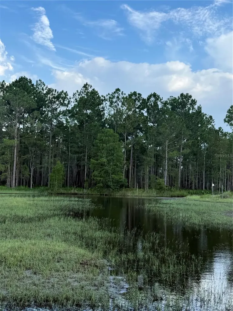 Holopaw Groves Road St Cloud FL 34773