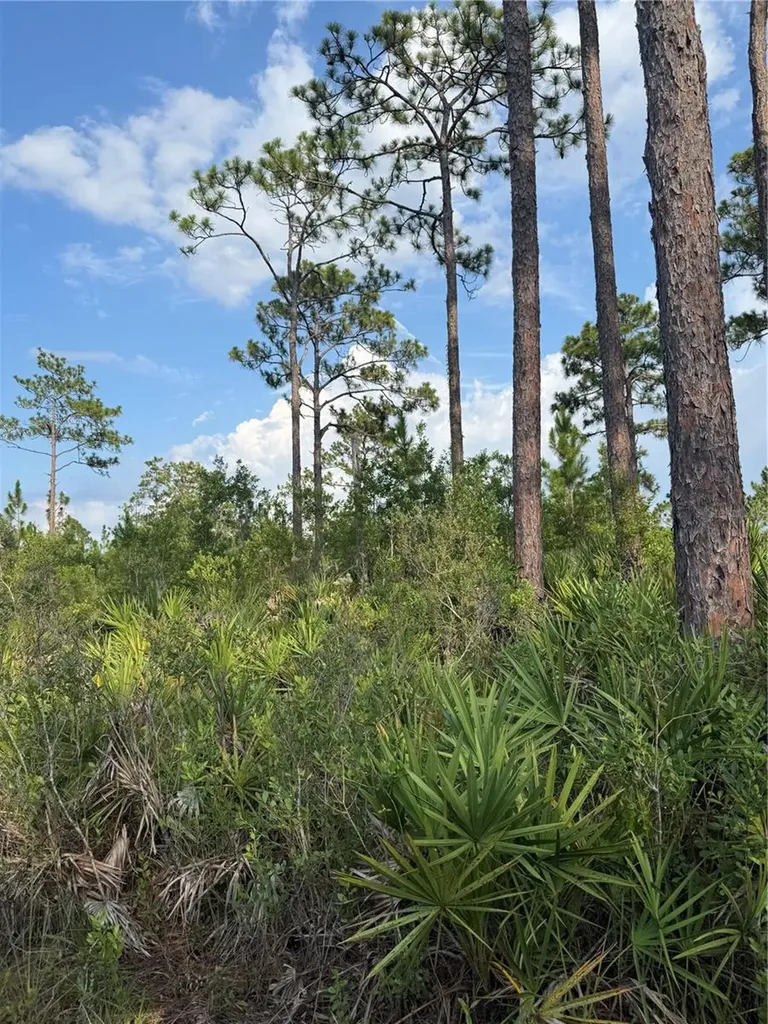 Holopaw Groves Road St Cloud FL 34773