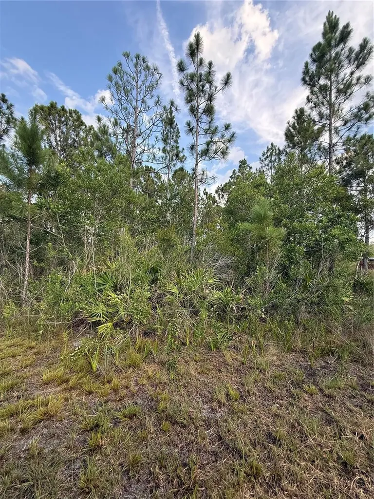 Holopaw Groves Road St Cloud FL 34773