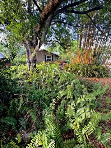566 S Pelican Drive Sarasota FL 34237