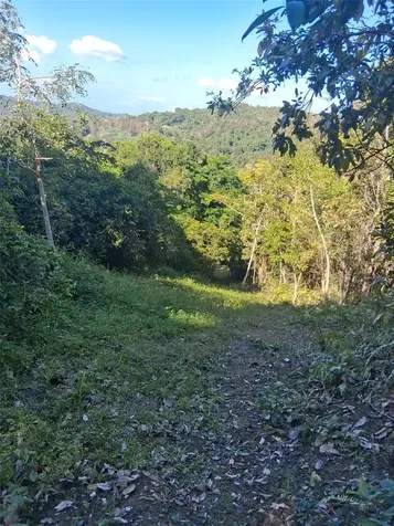 PR-853 Interior Cacao Ward Carolina PR 00987